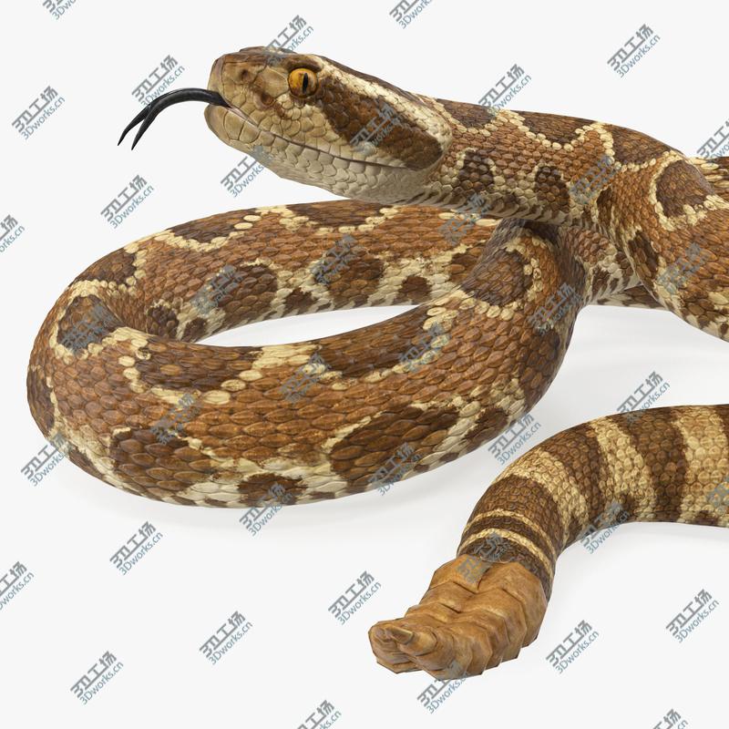images/goods_img/202105072/3D Light Rattlesnake/1.jpg